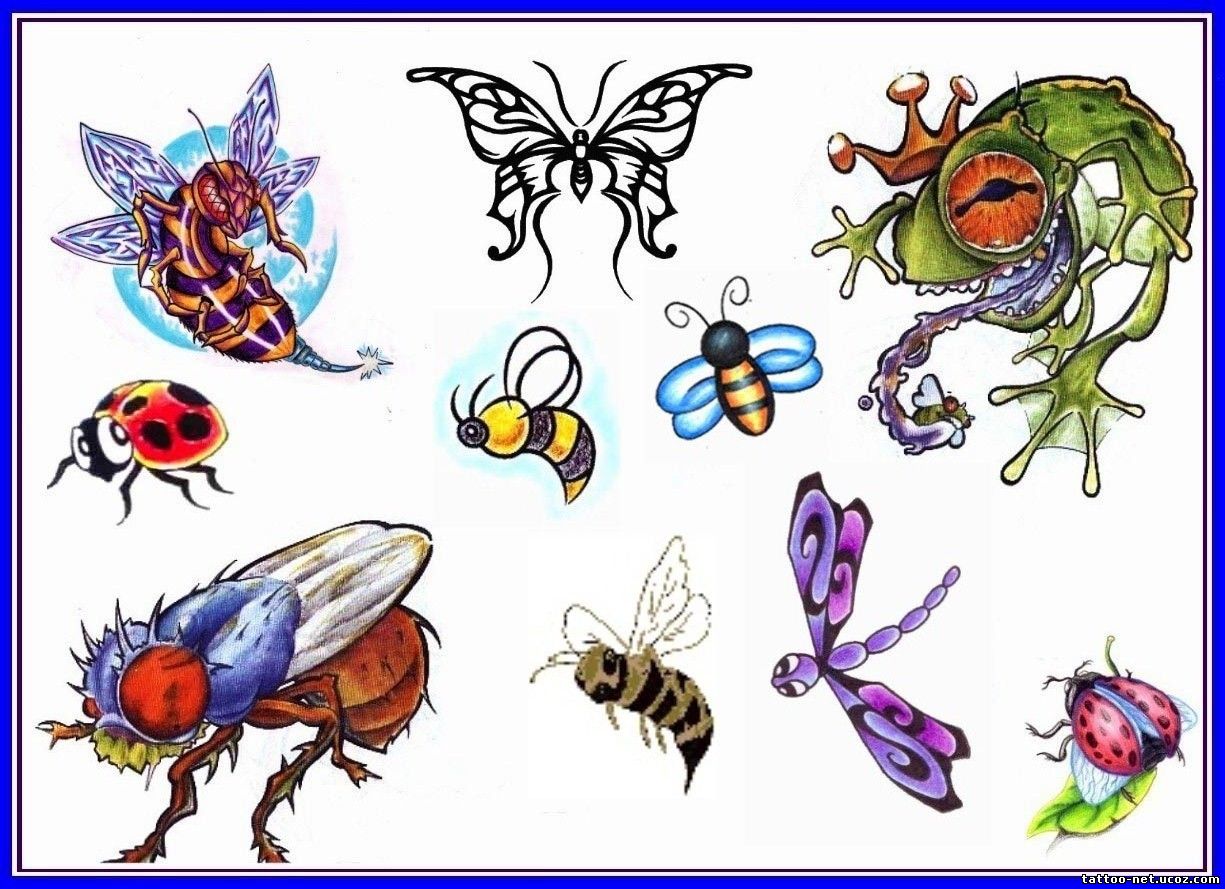 Проект с рисунками насекомые